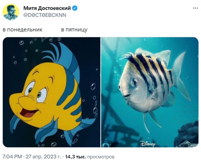 Создать мем: флаундер из новой русалочки, рыба флаундер, рыбка флаундер