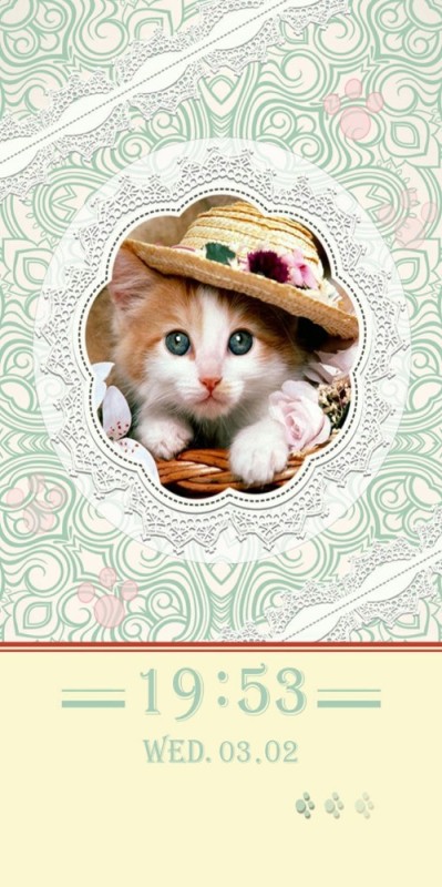 Create meme: cute cat in a hat, cat , cat 
