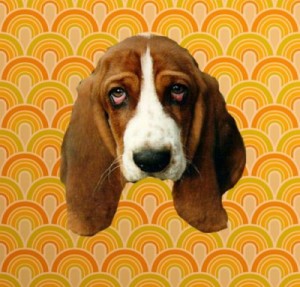 Create meme: chien, droopy, puppies Basset hound