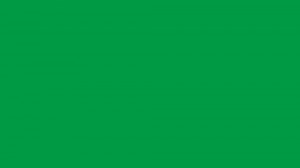 Создать мем: зеленый цвет, зеленый цвет однотонный, ирландский зеленый цвет