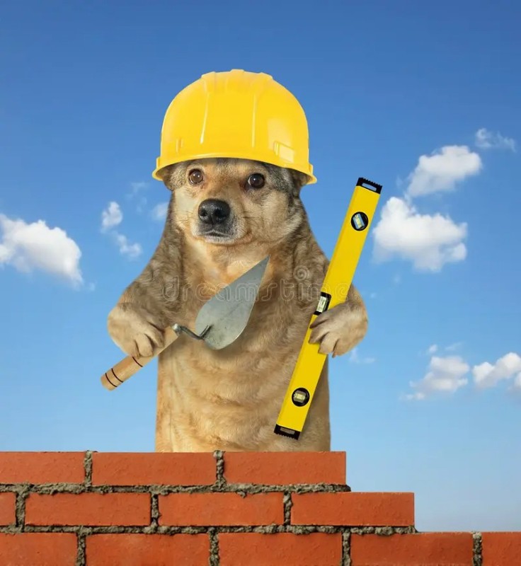 Create meme: a dog in a construction helmet, dog builder, a dog in a helmet
