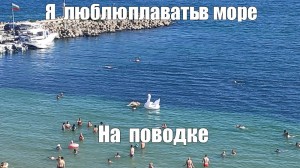 Создать мем: пляж малая бухта анапа, поехали на море мем, наш отдых в симеиз 2018