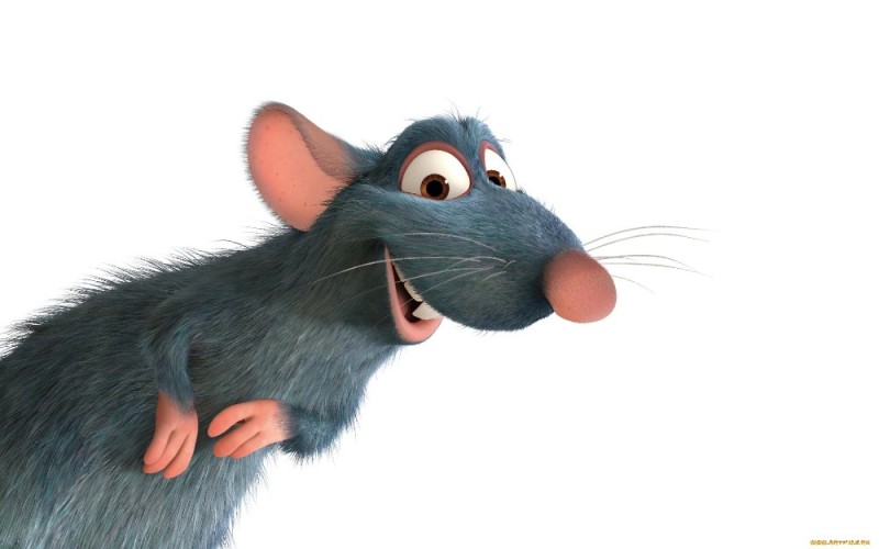Create meme: ratatouille mouse, Ratatouille Remy, ratatouille mouse