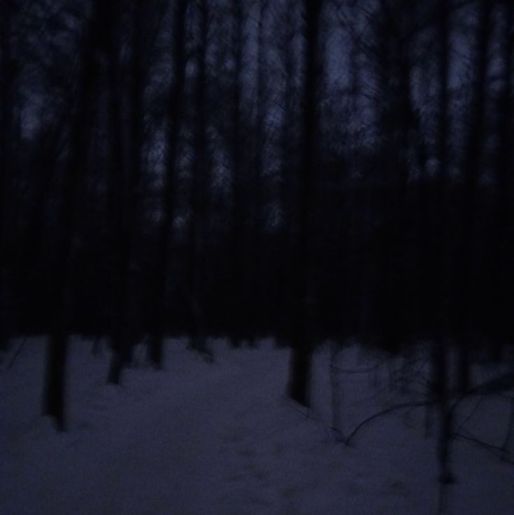 Create meme: black and white forest, darkness, dark forest