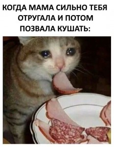 Создать мем: невкусно и грустно, кот с колбасой плачет, смешные коты