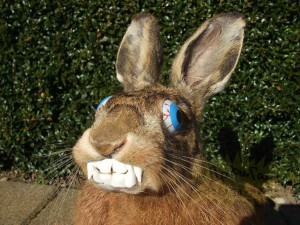 Create meme: a scythe Bunny, rabbit animal, rabbit