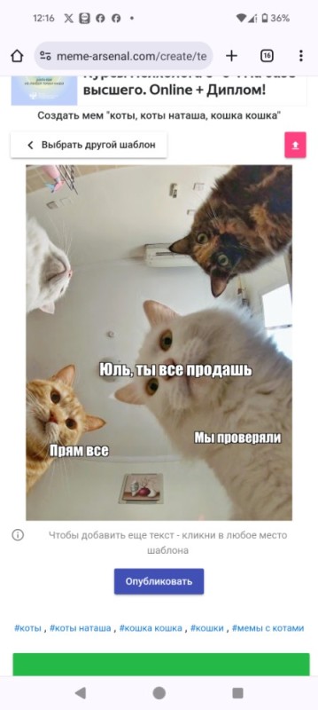 Создать мем: наташа мем с котами шаблон, кот мем, наташ коты