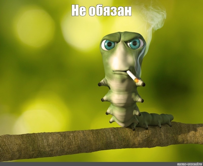 Create meme: caterpillar meme, smoking caterpillar meme, caterpillar with a cigarette meme