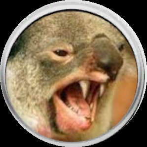 Создать мем: животные, коала животное, коала