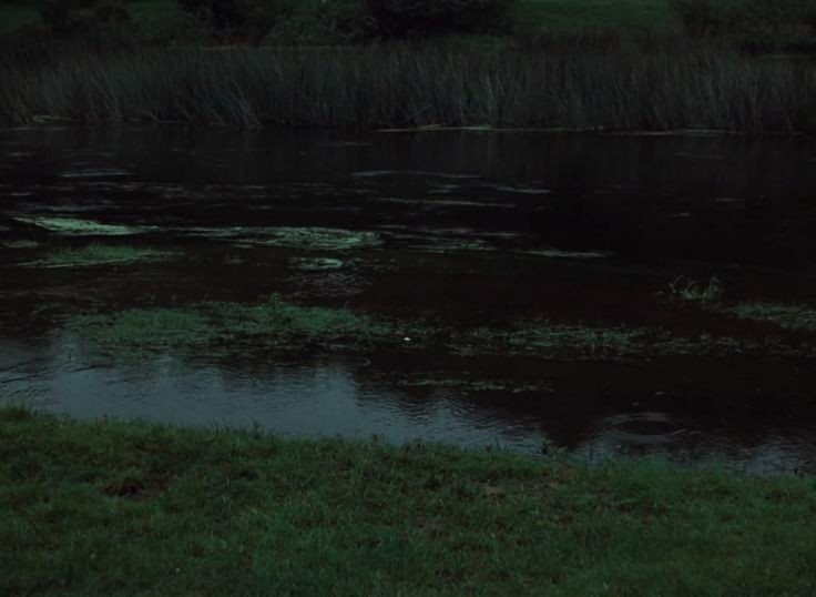 Create meme: river , pond , tarkovsky