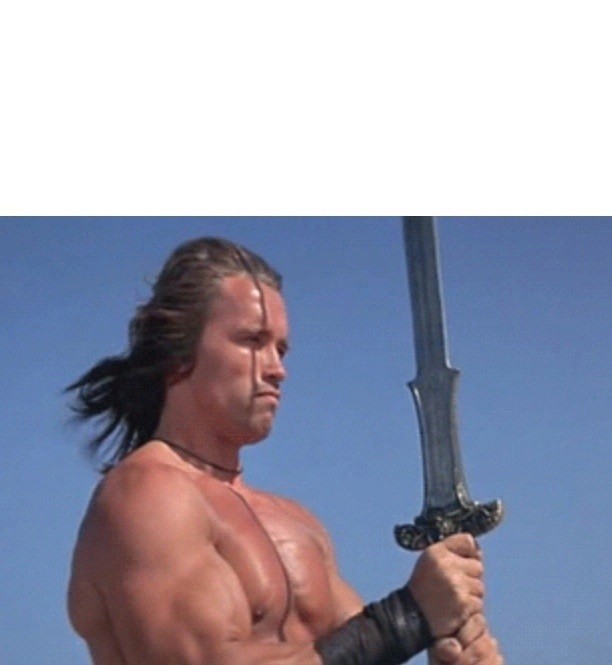 Create meme: Conan the barbarian Arnold Schwarzenegger, schwarzenegger conan, a frame from the movie