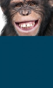 Create meme: teeth of a chimpanzee, smile monkey, chimpanzees