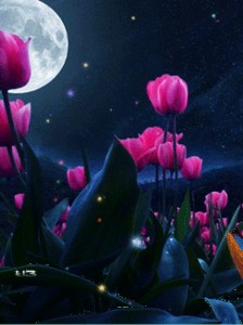 Create meme: postcard good evening tulips, tulips animation, night tulips GIF