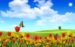 Create meme: flowers nature, field of tulips, flowers against the sky