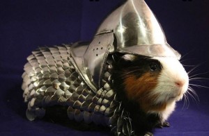 Create meme: Guinea pig, Roman hamster in armor, guinea pig