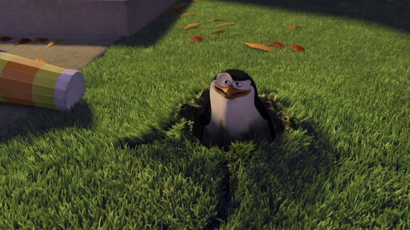 Create meme: penguin from Madagascar, You didn't see anything penguins, the penguins of Madagascar Kowalski