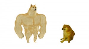 Create meme: doge, Jock the dog and you learn, Shiba inu