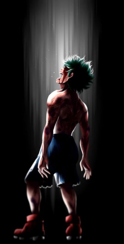 Create meme: Midoriya Izuku is a loner, deck, hero academia