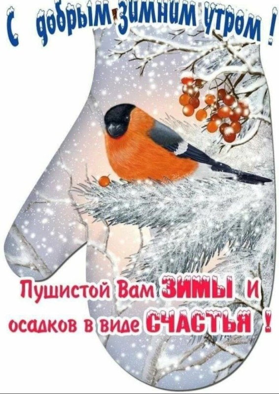 Создать мем: пожелание зимнего утра, открытки с добрым утром зимние, доброго зимнего дня