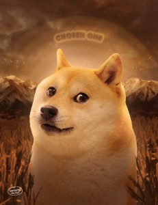 Create meme: shiba inu, Shiba inu dogs