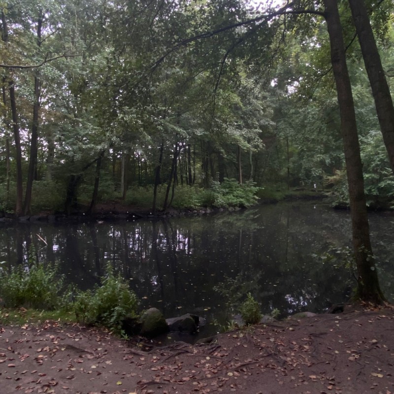 Create meme: furniture , pond , sergievka in peterhof