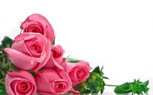 Create meme: photo greeting card, congratulations, pink roses