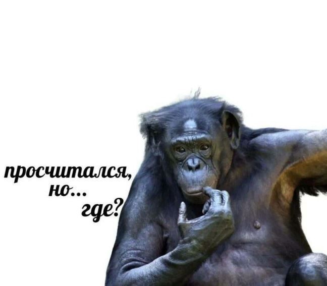 Создать мем: шимпанзе бонобо, задумавшая обезьяна, задумчивая обезьяна