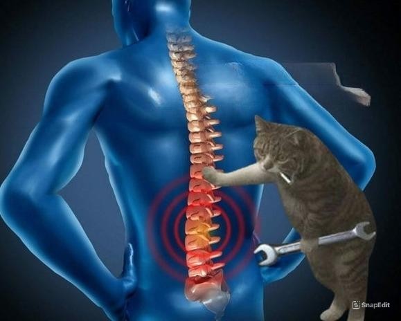 Создать мем: разрушение позвоночника, кот лечит человека, фелинотерапия