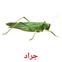 Create meme: grasshopper , grasshopper green, big green grasshopper