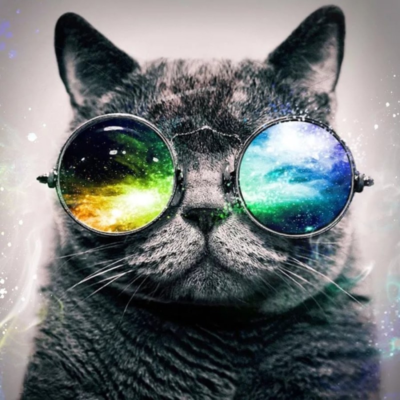 Создать мем: котики в очках, кот с очками космос, кот в очках космос