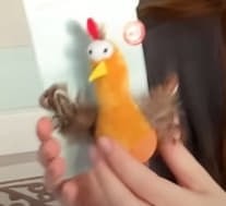 Create meme: A rooster toy, toys , toy cock 
