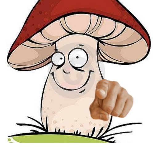 Создать мем: грибы с глазами, грибы в мультяшном стиле, мультяшный гриб