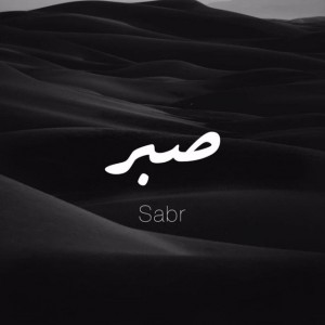 Создать мем: сабр, sabr, Логотип