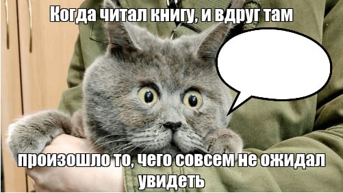 Создать мем: котики, ростовский кот федя, кот федя