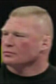 Create meme: Brock Lesnar