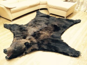 Create meme: Mat of the bear, the pelt of a brown bear, bearskin