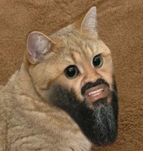 Создать мем: кот с бородой, прикол я ржал 3 часа, кот мутант