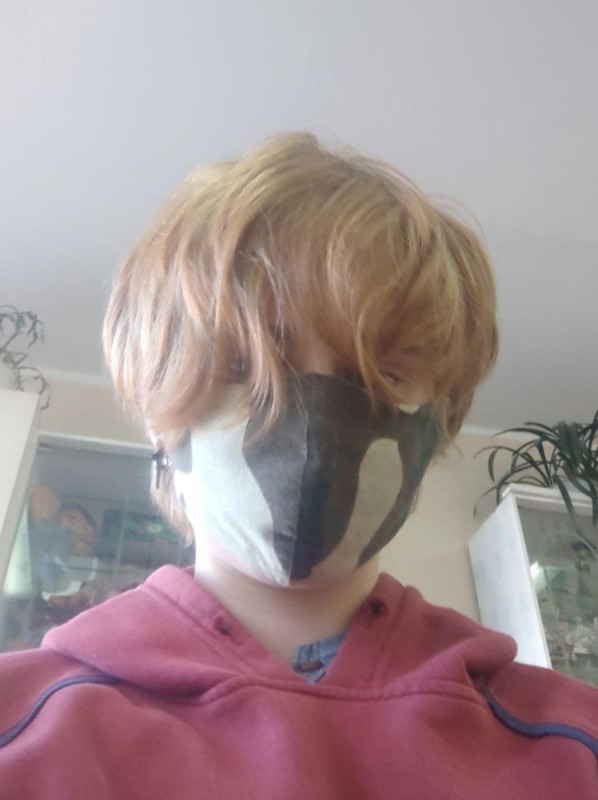 Создать мем: маски для лица, бэйн без маски, маска птицы
