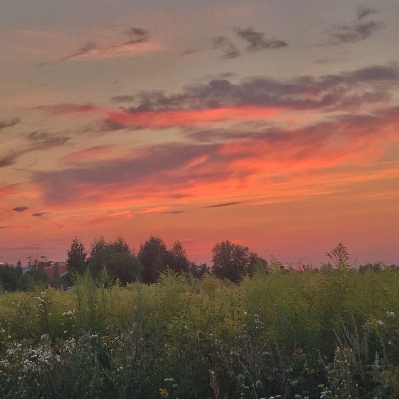Create meme: dawn-dusk, nature dawn, meadow at sunset