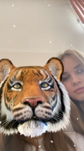 Create meme: tiger head, tiger, tiger face