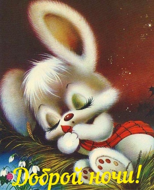 Create meme: good night bunnies, bunny wishes good night, sweet dreams postcards