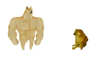 Создать мем: качок доге и чимс мем, мускулистая собака, накаченный doge мем шаблон