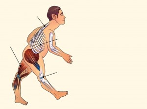 Создать мем: нагрузка на спину, джатхара паривартанасана мышцы, строение человеческого тела