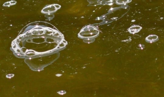 Create meme: bubbles on the water, bubbles on puddles, rain 