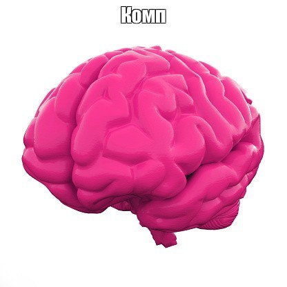 Создать мем: мозг 3 d, мозг на белом фоне, мозг
