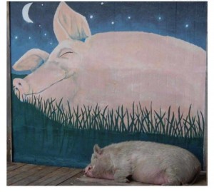 Создать мем: дремлет хлопец у дороги снятся хлопцу перемоги, картина, year of the pig