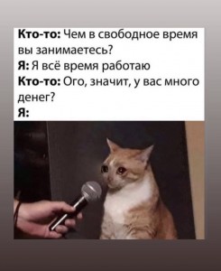 Создать мем: мем кошка, кот с микрофоном, этим летом я еду кукухой