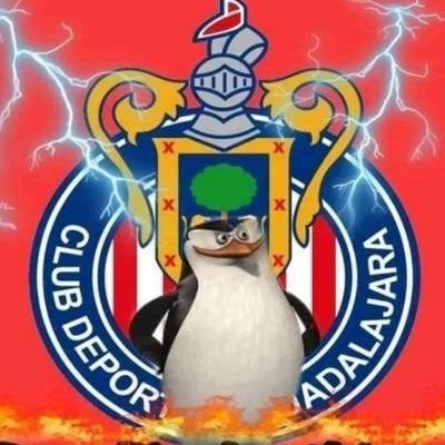 Создать мем: пингвины из мадагаскара мемы, пингвины из мадагаскара, пингвин