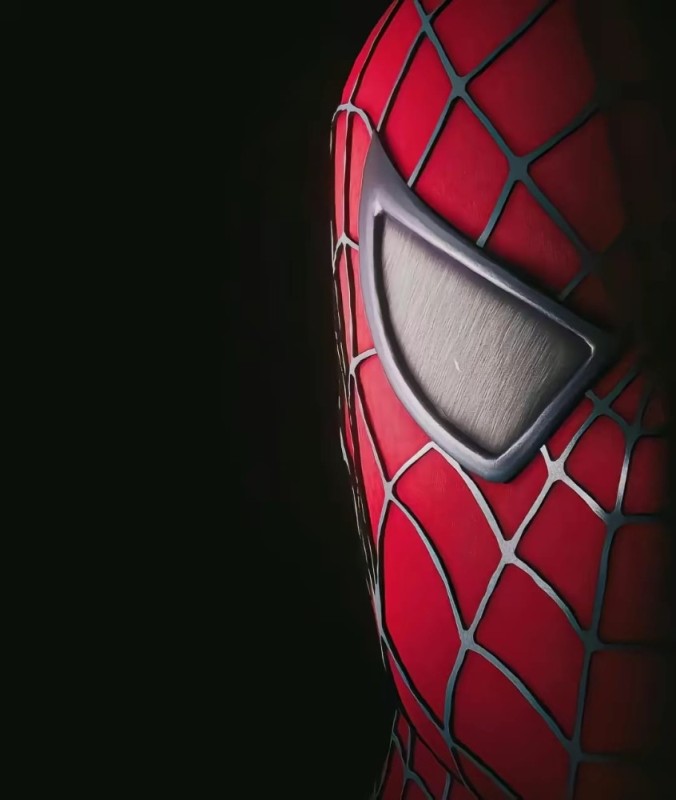 Create meme: spider man web of shadows, örümcek adam , spider-man web