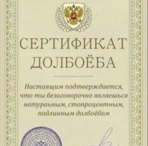 Create meme: certificate, certificate dolbaeba, certificate fuck VK